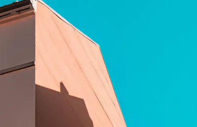 Pexels vlado paunovic 1567547 5281089